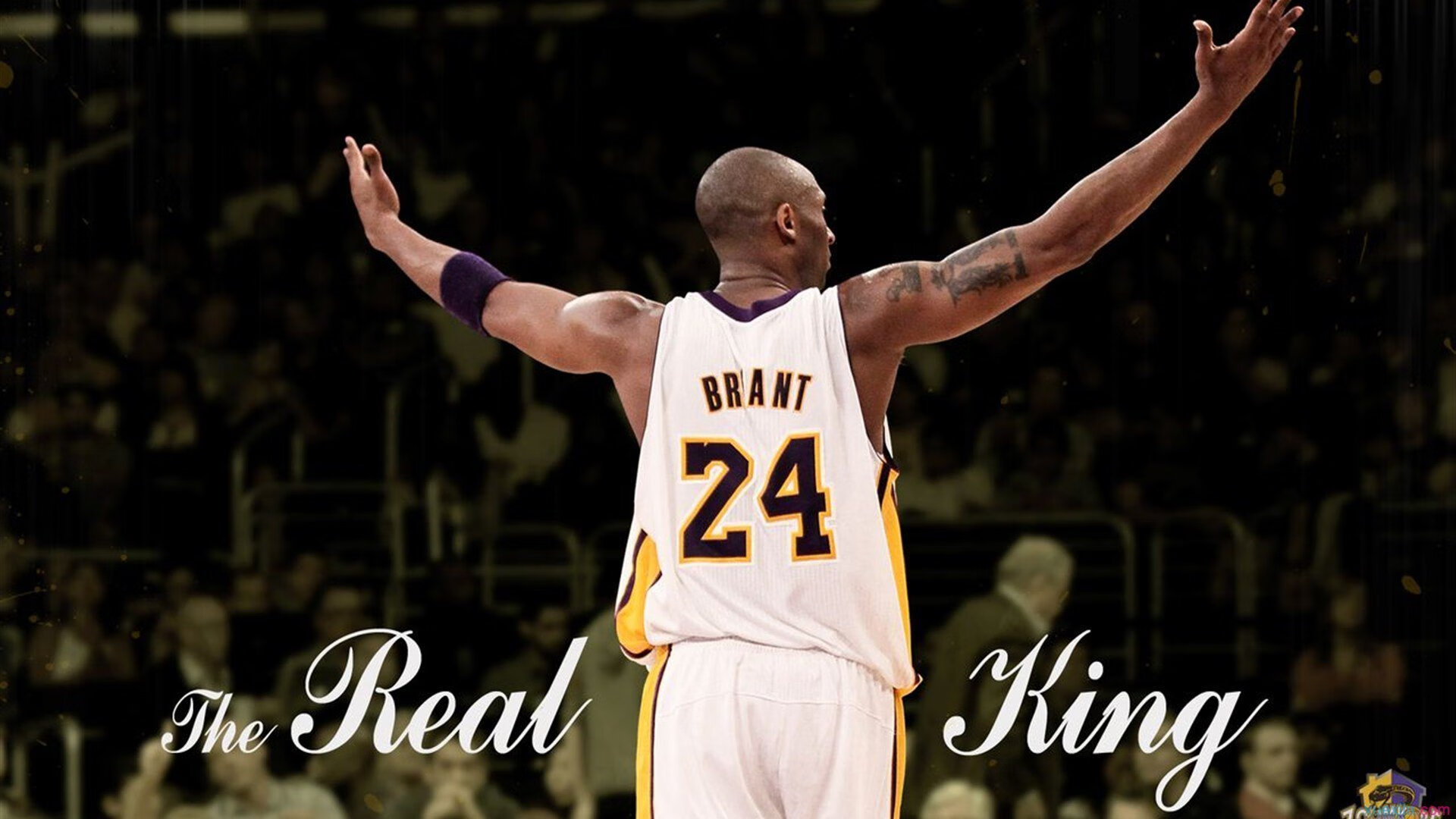 _运动馆灯光秀：科技点亮运动时刻_，运动场灯光