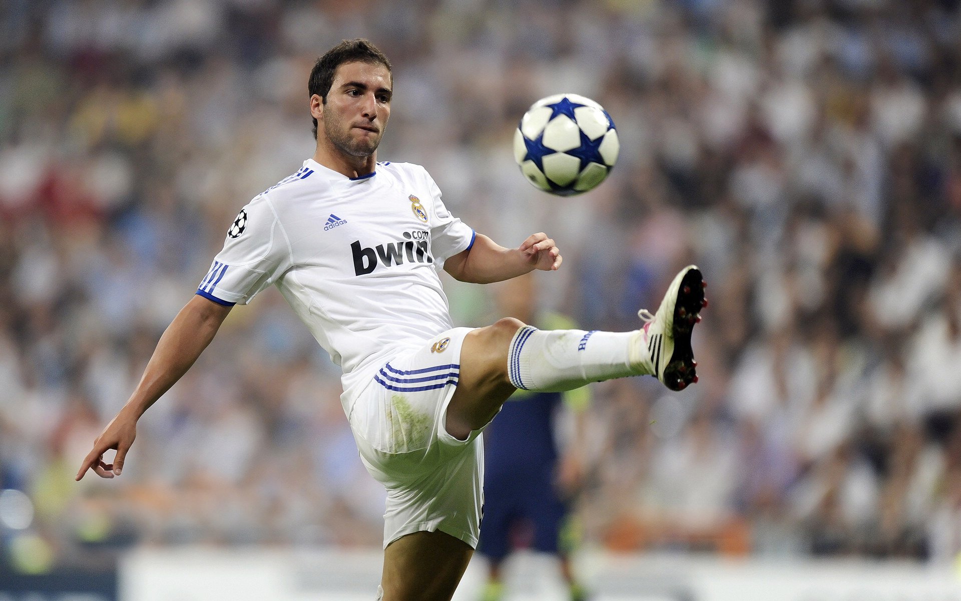 球迷风云：粉丝社群对联盟未来影响巨大，球队粉丝